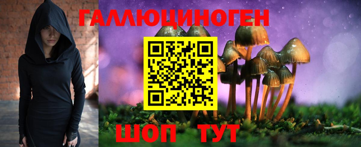 Гулькевичи  Псилоцибиновые грибы мухоморы  Вход с VPN 